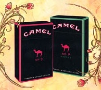  Camel   